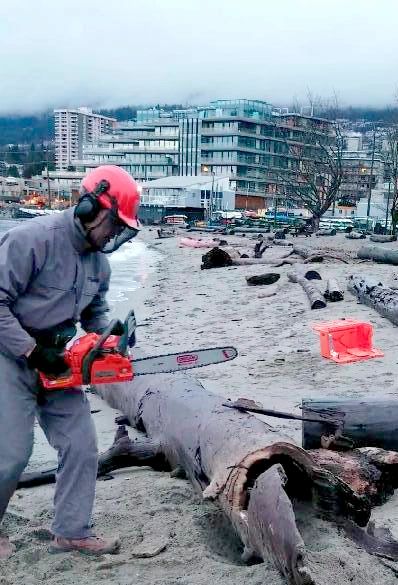 Cutting trunks